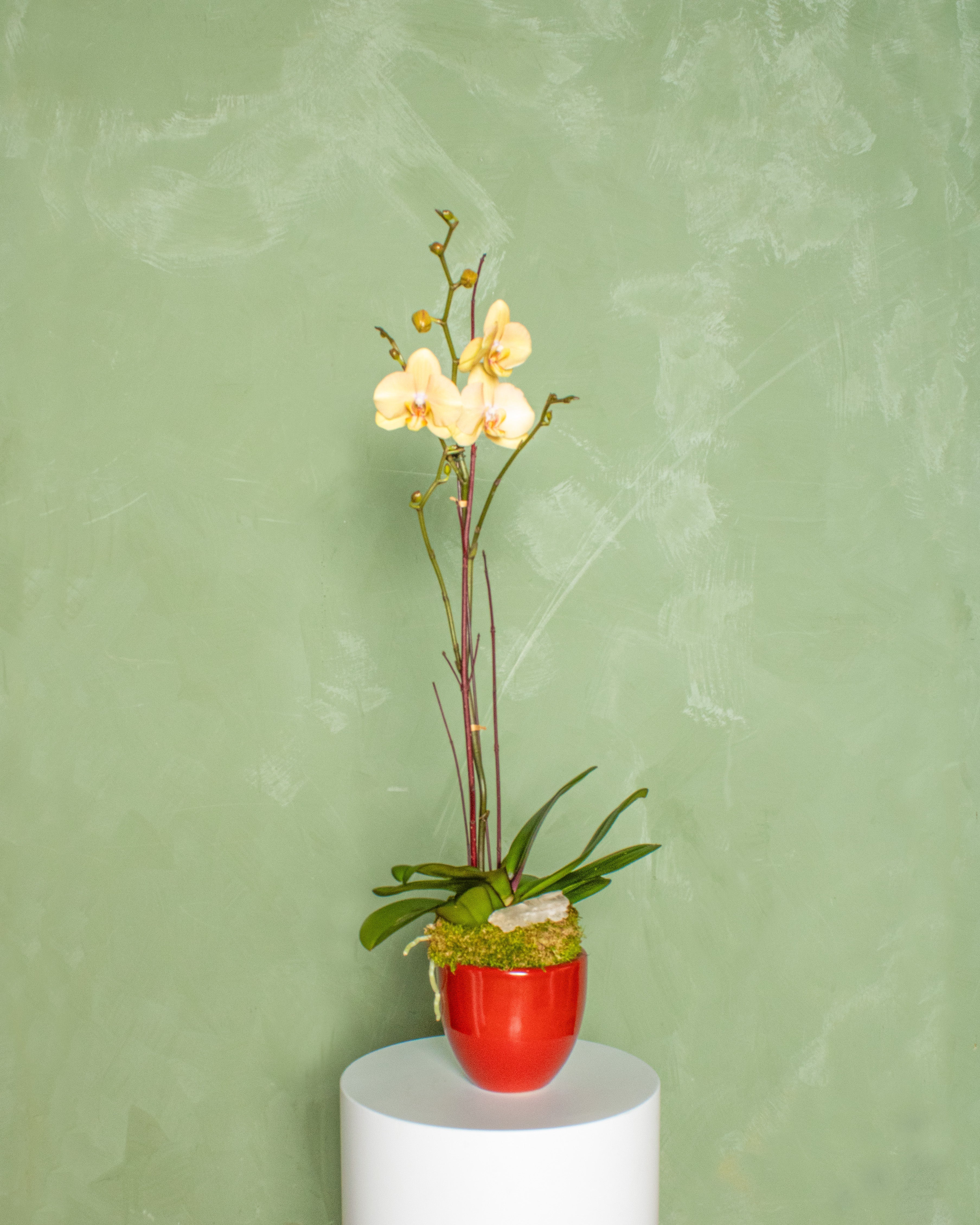 Valentine's Day Arrangement - Image 2