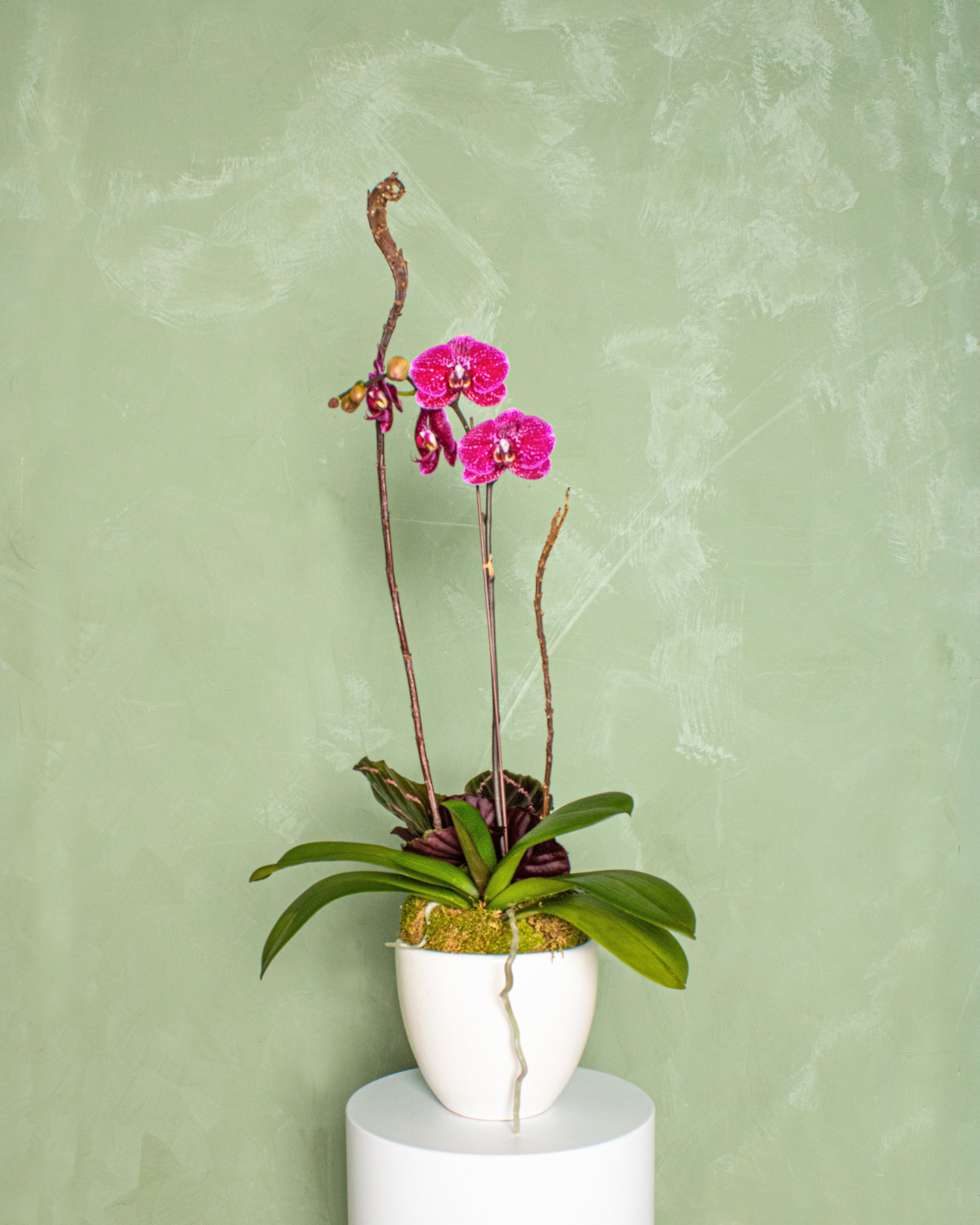 Valentine's Day Arrangement - Image 3