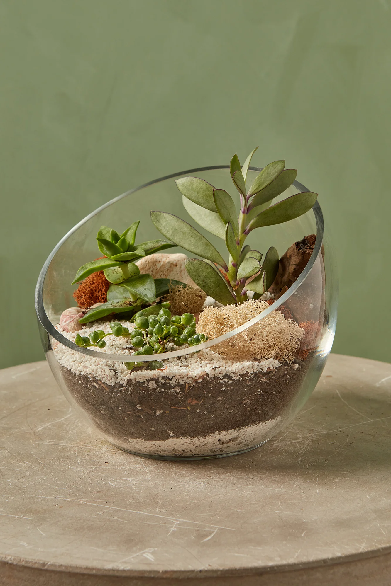 Valentine's Terrarium Workshop @ Shaw - 7pm on February 9th